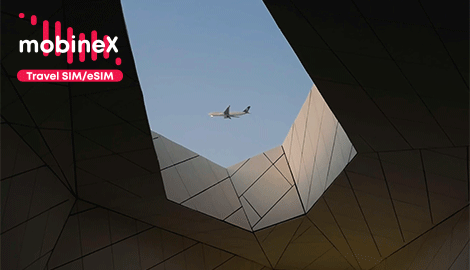 MobineX Travel SIM & ESIM • მობინექსი სამოგზაურო SIM & ESIM